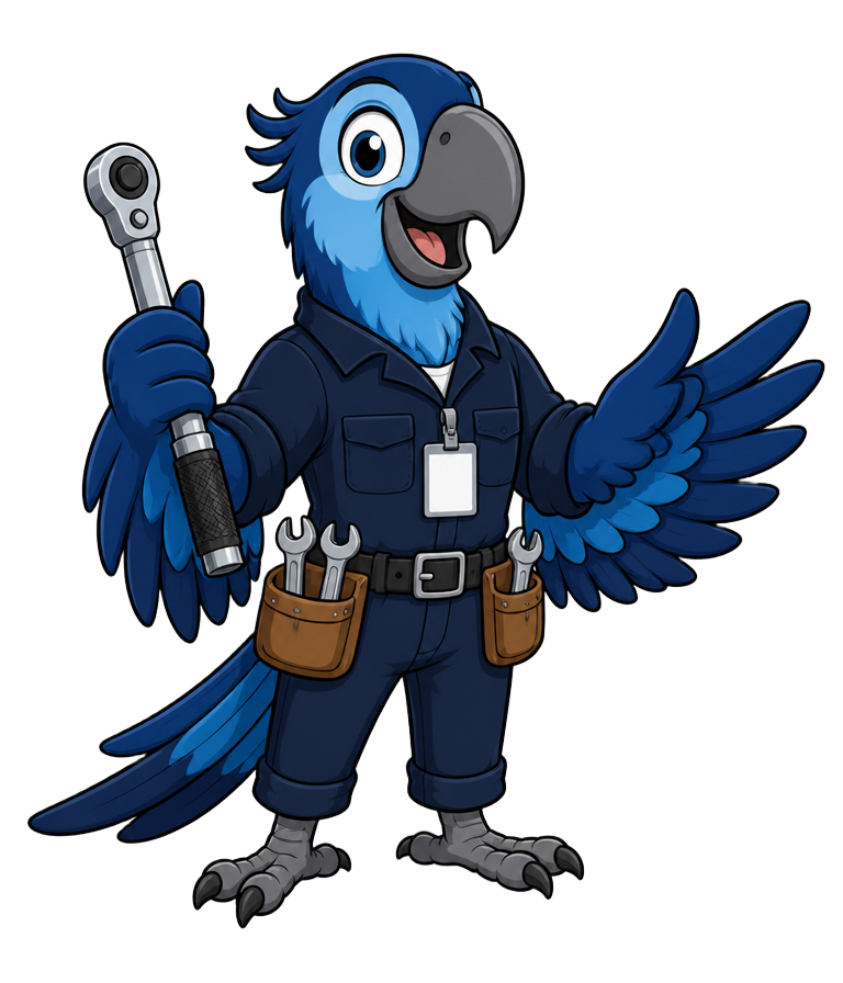 Torkinho, mentor do AeroMentor English